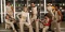 C DANS LES VIEUX POTS — Cosmos 1999 (Space 1999)