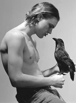 Michael Pitt D.R