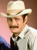 Gerald McRaney D.R