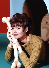 Barbara Feldon D.R