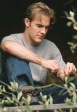 James Van Der Beek D.R