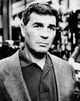 Robert Forster D.R