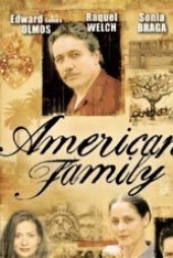 American Family - D.R