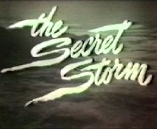 Secret Storm (The) - D.R