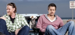 La série Terriers sur pErDUSA