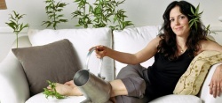 La série Weeds sur pErDUSA