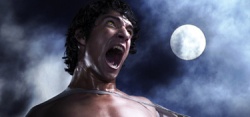 Teen Wolf - Pourquoi regarder une série comme Teen Wolf