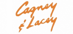 Cagney & Lacey - Bilan de la saison 5 de la série Cagney & Lacey