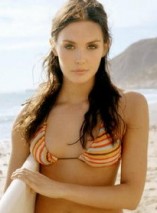 Taylor Cole D.R