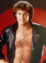 David Hasselhoff D.R