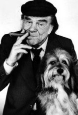 Lionel Stander D.R