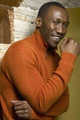 Mahershala Ali D.R