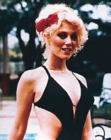 Audrey Landers D.R