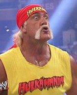 Hulk Hogan D.R
