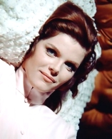Samantha Eggar D.R