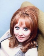  Lulu D.R