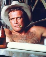 Lee Majors D.R