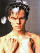 Leonardo DiCaprio D.R