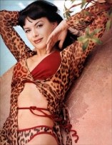 Kari Wuhrer D.R