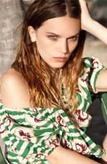 Anna Brewster D.R