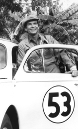 Herbie, the Love Bug - D.R