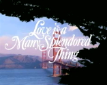 Love Is a Many Splendored Thing - D.R