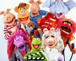 Muppets (Les) - D.R