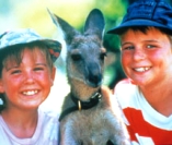 Nouvelles Aventures de Skippy (Les) - D.R