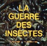 Guerre des Insectes (La) - D.R