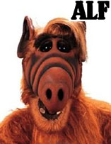 ALF - D.R