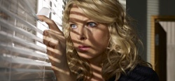 Damages - 