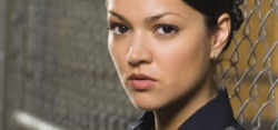 The Shield - 