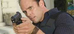 The Shield - 